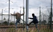 Das Unternehmen Eurotunnel hat 2015 nach eigenen Angaben bereits 37.000 Einreiseversuche von Flüchtlingen nach Großbritannien verhindert. (© picture-alliance/dpa)