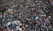 Hong Kong'ta demokrasi hareketinin Çin hükümetini protestosu, 800 bin kişinin katılımıyla yeni bir rekor kırdı. (8 Aralık 2019). (© picture-alliance/dpa)