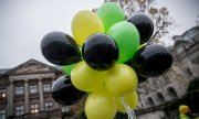 Des ballons de baudruche aux couleurs des partis impliqués : le noir pour la CDU/CSU, le jaune pour le FDP et le vert pour les écologistes. (© picture-alliance/dpa)