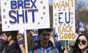 Participants at a stop the Brexit demonstration in March 2017 in London. (© picture-alliance/dpa)