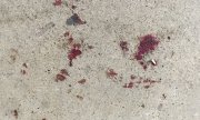 Blood stains at the crime scene. (© picture-alliance/dpa)
