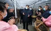 Le chef d'Etat chinois Xi Jinping lors d'une visite dans la province de Shaanxi, le 23 avril 2020. (© picture-alliance/dpa)