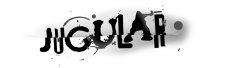 Blog Jugular