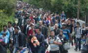 Flüchtlinge an der österreichisch-ungarischen Grenze: Wien geht davon aus, dass derzeit rund 200.000 Menschen auf der Balkanroute unterwegs sind. (© picture-alliance/dpa)