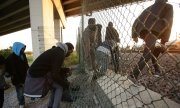 According to British border guards around 84,000 migrants tried to reach the UK through the Eurotunnel in 2015. (© picture-alliance/dpa)