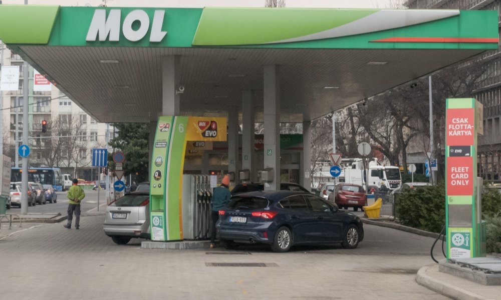 Hungary's petrol price cap will it work?