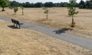 Dried-up grass in a London park in July 2026. (© picture alliance / Visually / Anna Watson)