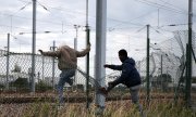 La société Eurotunnel a indiqué avoir empêché 37.000 tentatives de traversées clandestines en 2015. (© picture-alliance/dpa)