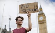 Ein junger Mann fordert in London ein weiteres Referendum (© picture-alliance/dpa)