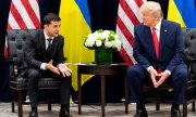 Selenskyj und Trump bei einem Treffen am Rande der UN-Vollversammlung. (© picture-alliance/dpa)
