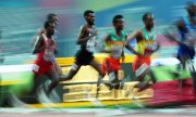 The endurance competitions were held at night due to the extreme desert climate. (© picture-alliance/dpa)