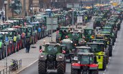 Tractors in Berlin on November 26, 2019. (© picture-alliance/dpa)