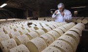 French cheese like the Roquefort pictured here will not become more expensive for US consumers due to punitive tariffs for the time being. (© picture-alliance/dpa)