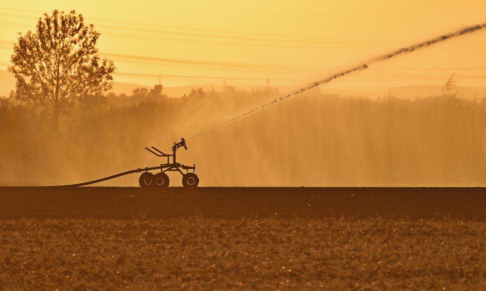 How to cope with the drought?