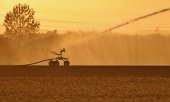 More and more often, fields need to be irrigated. (© picture alliance / Daniel Kubirski)