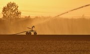 L'irrigation des champs est de plus en plus indispensable. (© picture alliance / Daniel Kubirski)