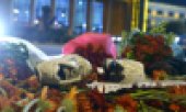 No one has claimed responsibility for Saturday's attack in which at least 97 people died. (© picture-alliance/dpa)
