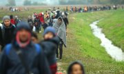 Refugees near the Slovenian city of Brežice. Austria is apparently planning to erect a fence on its border with Slovenia. (© picture-alliance/dpa)