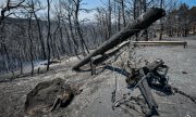 Forêt calcinée par le feu, au nord d’Athènes, le 7 août 2021. (© picture-alliance / ANE / Eurokinissi  Tatiana Bolari)