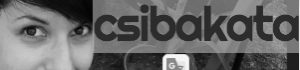 Blog Csibakatalin