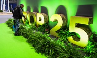 (© picture-alliance/dpa)