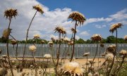 Athen baut einen neuen Zaun entlang des Flusses Evros/Meric an der griechisch-türkischen Grenze. (© picture alliance/NurPhoto/Nicolas Economou)