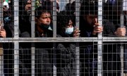 Cumhurbaşkanı'nın 14 Mart'taki ziyareti sırasında Pournara'nın çitlerine yığılan sığınmacılar. (© picture alliance/ASSOCIATED PRESS/Petros Karadjias)