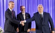 Слева направо: Бабиш, Кикль и Орбан, Вена, 30 июня 2024 года. (© picture alliance/Тобиас Штайнмаурер/apa/picturedesk.com)