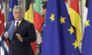 Macaristan Başbakanı Viktor Orbán. (© picture-alliance/dpa)
