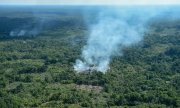 Nuages de fumée à São Gabriel da Cachoeira, près de la frontière colombienne. (© picture-alliance/dpa)