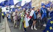 Brexit-Gegner auf einer Demonstration am 3. September in London. (© picture-alliance/dpa)