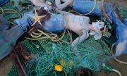 Protest against marine pollution in Lisbon on 27 June 2022. (© picture alliance /ASSOCIATED PRESS/Ana Brigida)