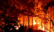 A forest fire near Bordezac in southern France on 7 July. (© picture alliance/ASSOCIATED PRESS/HONS)(© picture-alliance/dpa)