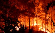 Лесной пожар близ Бордезака на юге Франции, 7 июля 2022 года. (© picture-alliance/ASSOCIATED PRESS/HONS)