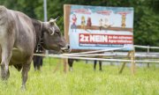 Many farmers had put up posters in their fields against the environmental proposals. (© picture-alliance/Urs Flüeler)