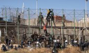 İspanyol sınır muhafızları, çitin üzerine tırmanan bir grup göçmeni çembere alıyor. (© picture alliance / ASSOCIATED PRESS / Javier Bernardo)