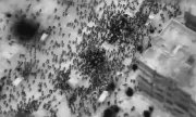 Image from an Israeli drone shows people gathering around the aid trucks. (© picture-alliance/Anadolu / Stringer)