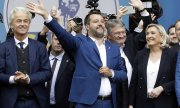 Geert Wilders, Matteo Salvini, Jörg Meuthen, Marine Le Pen (von links). (© picture-alliance/dpa)