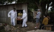 Health workers carrying away a casket in Manaus on 12 May. (© picture-alliance/dpa)