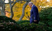 Donald Trump on his way to the Rose Garden at the White House on 13 November. (© picture-alliance/dpa)