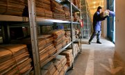 Securitate dosyalarının saklandığı, Bükreş yakınlarındaki arşivden bir görüntü. (© picture-alliance/dpa)