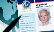 Der internationale Haftbefehl gegen Julian Assange von 2010. (© picture alliance/ZB/Stefan Sauer)