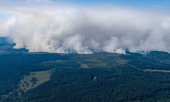 Yangının yol açtığı duman bölge sakinleri için büyük sıkıntı yaratıyor. (© picture alliance/dpa/Christoph Reichwein)