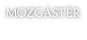 Mozgástér