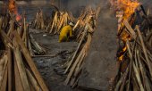 Trees are to be felled in India's city parks because wood for cremations is running out. (© picture-alliance/Shaukat Ahmed)