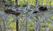 Until now the Polish-Belarusian border has been secured with barbed wire. (© picture alliance/dpa/Sputnik/Viktor Tolochko)