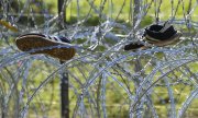 Until now the Polish-Belarusian border has been secured with barbed wire. (© picture alliance/dpa/Sputnik/Viktor Tolochko)