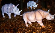"Rhinocéros illuminés", dans le cadre de l'exposition "Zoo Lights", au zoo d'Osnabrück (Basse-Saxe). (© picture alliance/dpa/Friso Gentsch)