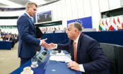 Péter Magyar (links) und Viktor Orbán 2024 im Europaparlament in Strasbourg. (© picture alliance / Hans Lucas  POOL UNION EUROPEENNE / AGENCE HANS LUCAS)